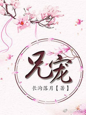 兄宠 封面