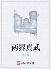 两界真武 封面