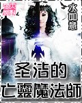 圣洁的亡灵魔法师 封面