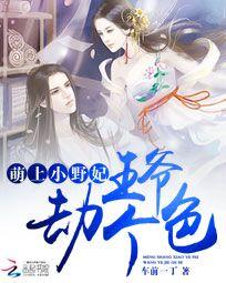 萌上小野妃：王爷，劫个色 封面