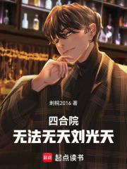 四合院：无法无天刘光天 封面