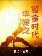 华娱之鎏金时代 封面