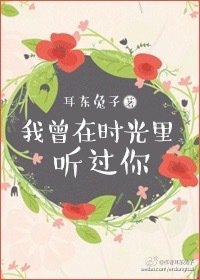 我曾在时光里听过你 封面
