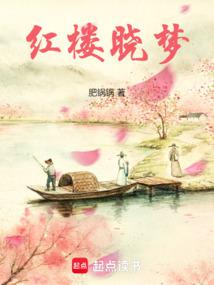 红楼晓梦 封面