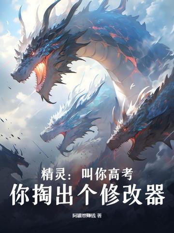 精灵：叫你高考，你掏出个修改器？ 封面
