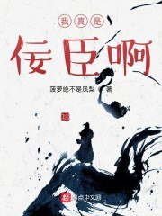 我真是佞臣啊 封面