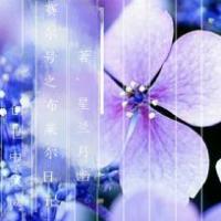 赛尔号之布莱尔 封面