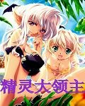 精灵大领主 封面