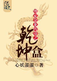 傅家金龙传奇之乾坤盒 封面