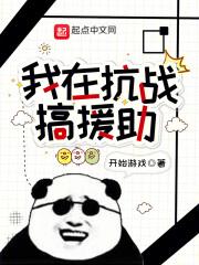 我在抗战搞援助 封面