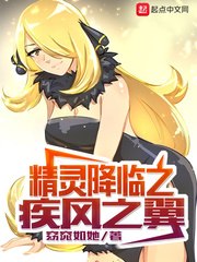 精灵降临之疾风之翼 封面