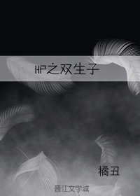 HP之双生子 封面
