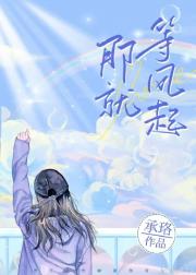那就等风起 封面