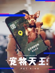 宠物天王 封面