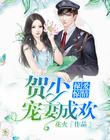 一念成婚：贺先生爱妻如命 封面