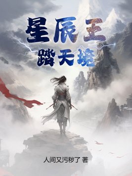 星辰王：踏天境 封面