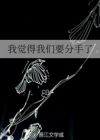 我觉得我们要分手了 封面