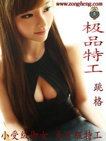极品特工 封面