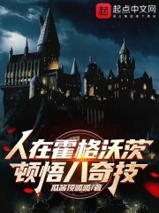 人在霍格沃茨，顿悟八奇技 封面