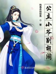 公主小爷别胡闹 封面