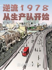 逆流1978从生产队开始 封面