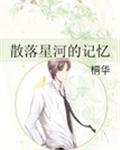 散落星河的记忆 封面