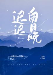 迟迟白日晚 封面