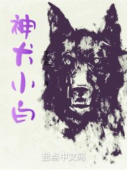 神犬小白 封面