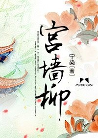 宫墙柳 封面