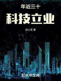 年近三十，科技立业 封面