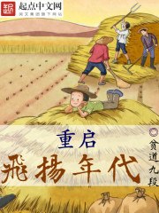 重启飞扬年代 封面