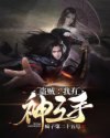 盗贼：我有神之手 封面