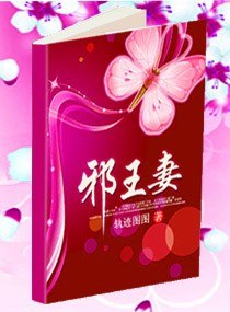 邪王妻 封面