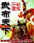 武布天下 封面