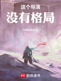 这个导演没有格局 封面