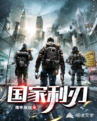 国家利刃 封面