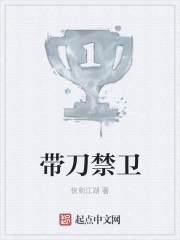 带刀禁卫 封面