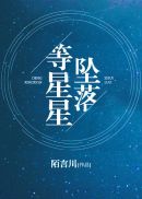等星星坠落 封面