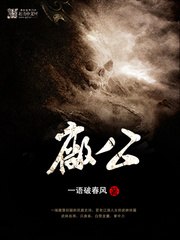 厂公 封面