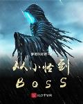 从小怪到BOSS 封面
