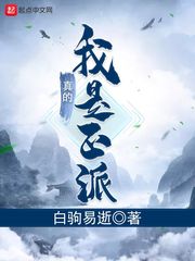 从山寨npc到大BOSS 封面