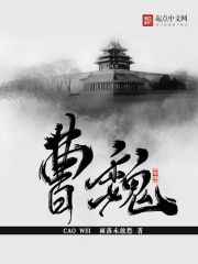 曹魏 封面