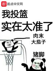 我投篮实在太准了 封面