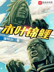 木叶锦鲤 封面
