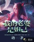 我的老婆是妲己 封面