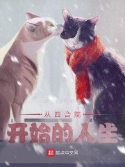 从四合院开始的人生 封面