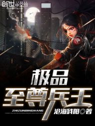 极品至尊兵王 封面
