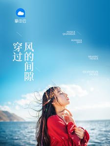 首席的掌心至爱 封面