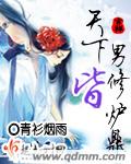 天下男修皆炉鼎 封面