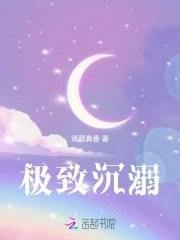 极致沉溺 封面